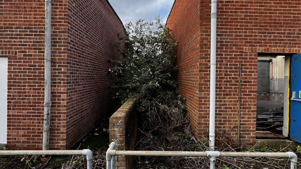 What Happens If You Ignore Party Wall Etiquette Epsom